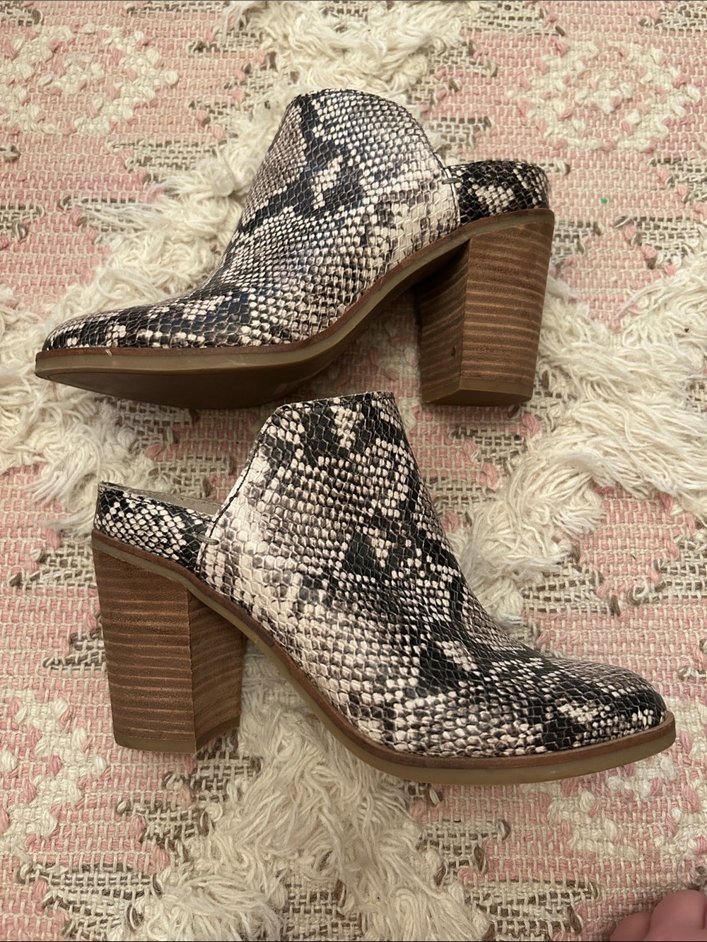 Dolce Vita Python-Print Block Heel Mules in Black & Cream